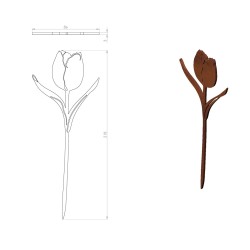 Tulipan Kwiat