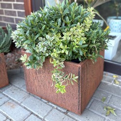 Donica Tetran 400x400x300