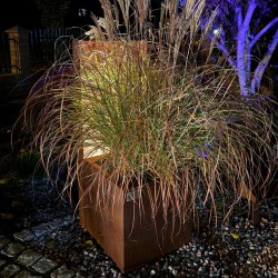 Donica podświetlana