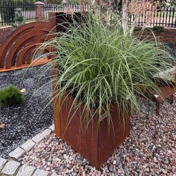 Donica podświetlana