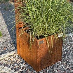 Donica podświetlana