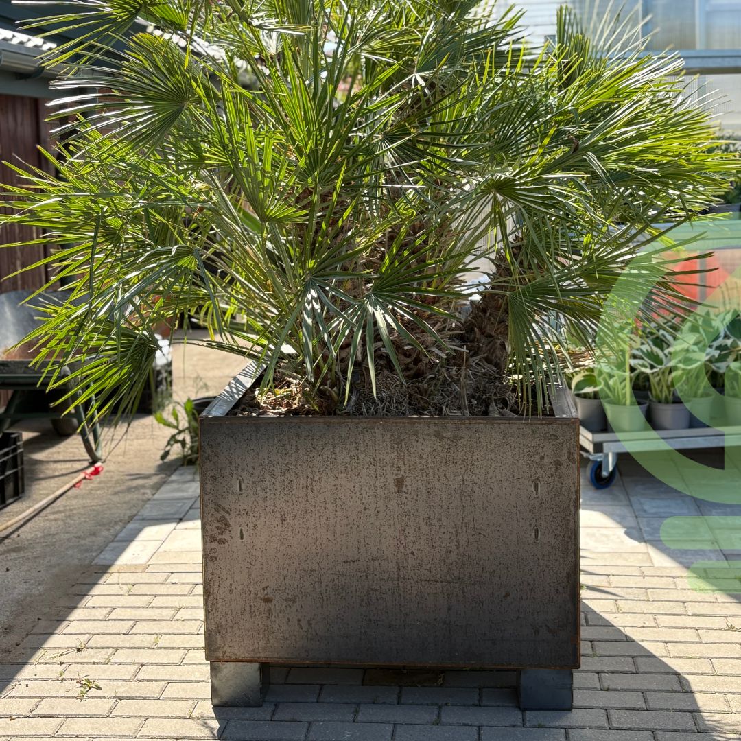 Projekty na wymiar w Garden Glow