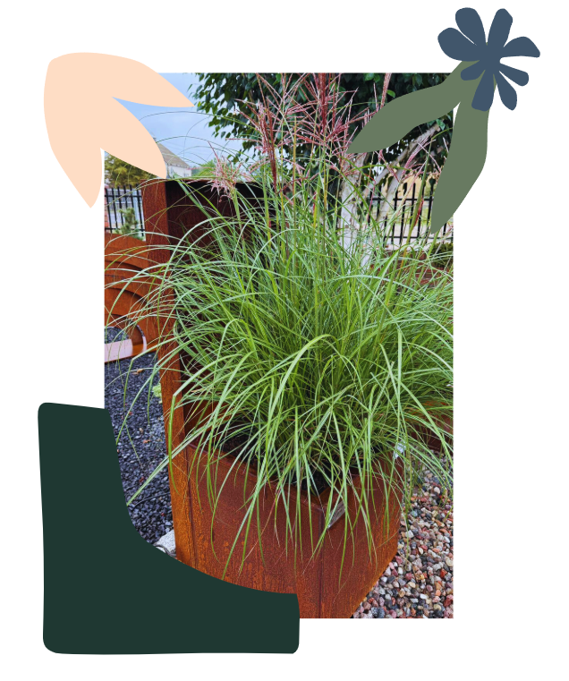 Slajder zdjęć przedstawiający donicę